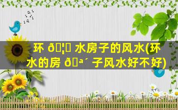 环 🦄 水房子的风水(环水的房 🪴 子风水好不好)